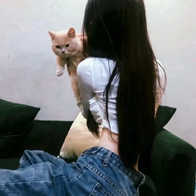 高歌猛进